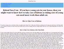 Tablet Screenshot of kittenclass.com